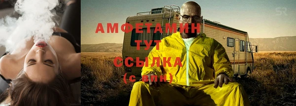 Альфа ПВП Горняк