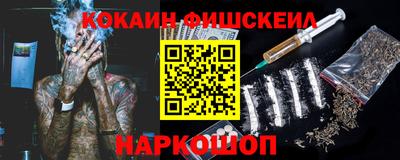 мдпв Камышлов