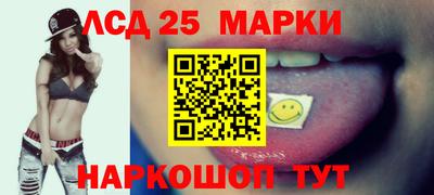 мдпв Камышлов