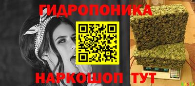 мдпв Камышлов