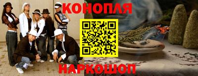 мдпв Камышлов