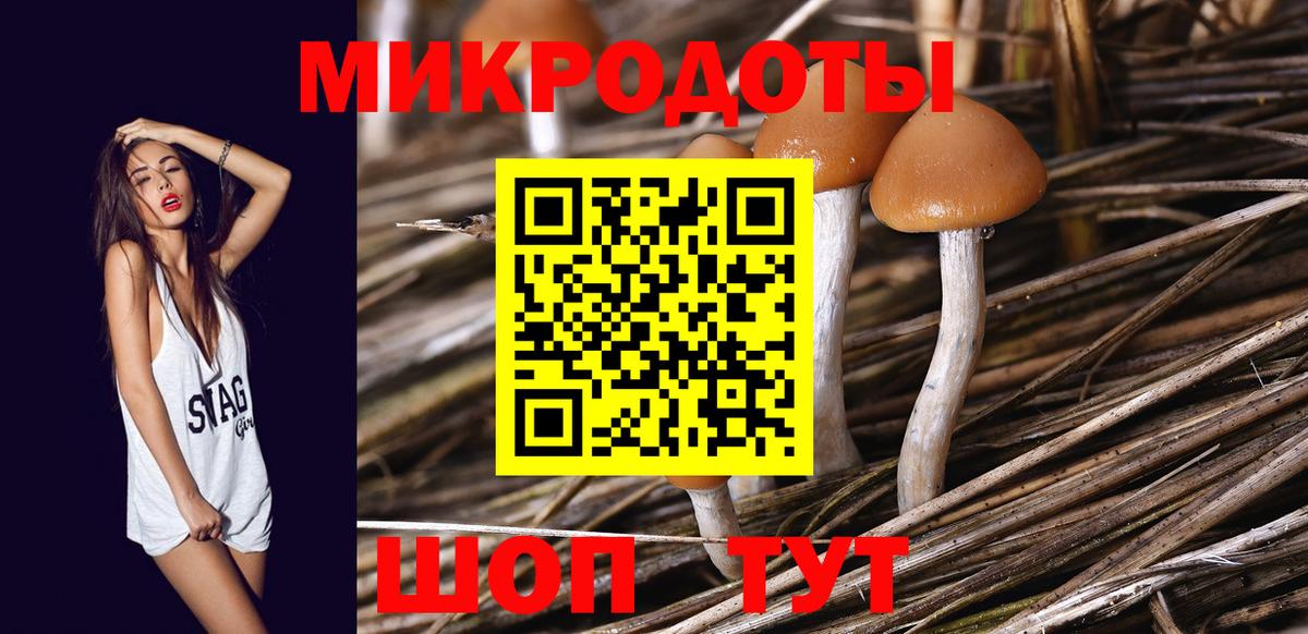 Псилоцибиновые грибы Magic Shrooms Нурлат
